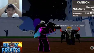 Cannon Vs. Elephant in Bloxfruits|No Damage Strategy
