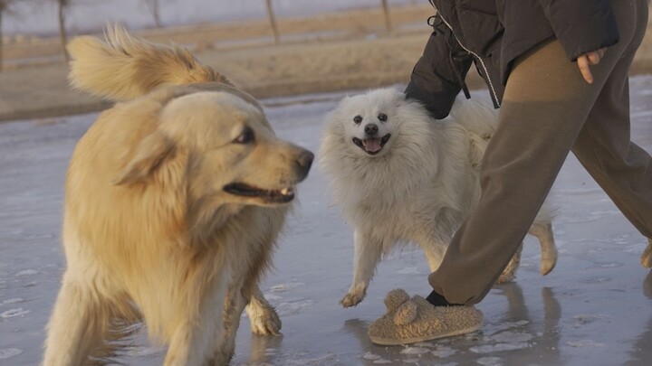 Is it hot? Why do I feel so cold?!