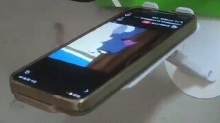It turns out that kittens also like to watch Tom and Jerry!