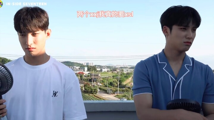 【SEVENTEEN】因为小风扇吵起来的97狗狗们  救命 真的太可爱了 金珉奎 李硕珉 徐明浩