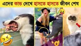 পশু পাখির মজার কান্ড ক্যামেরায় ধরা পড়া | Funny Animal Videos 2023 😂 - Funniest Dogs And Cats Video