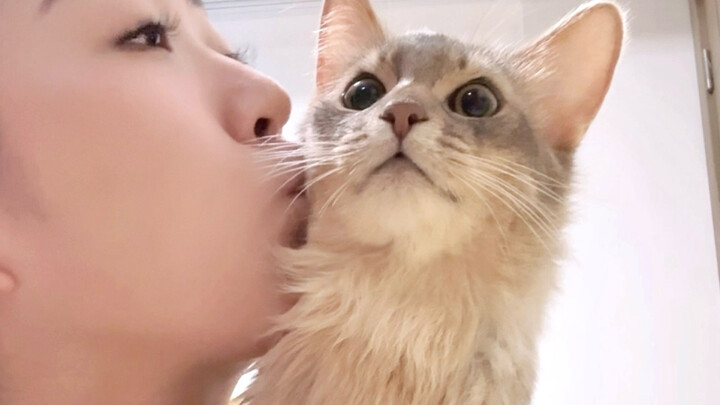 I didn’t sign up for a cat with such a long neck when I bought it!