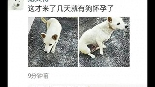 这就是男生不发朋友圈的原因 太真实了