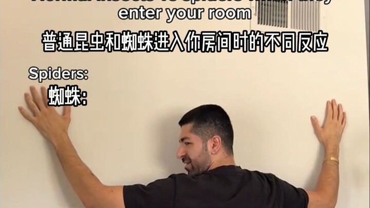 ปฏิกิริยาของแมวและหมาเมื่อคุณลุกขึ้นมาแบบกะทันหัน...