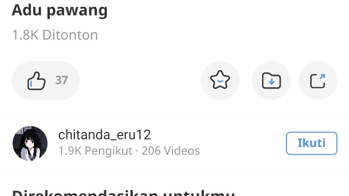 bitang, 🥰🥰