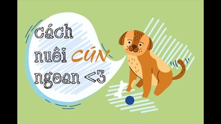 Cách nuôi chó ngoan kì lạ mà mọi người đều không biết | Dayspet