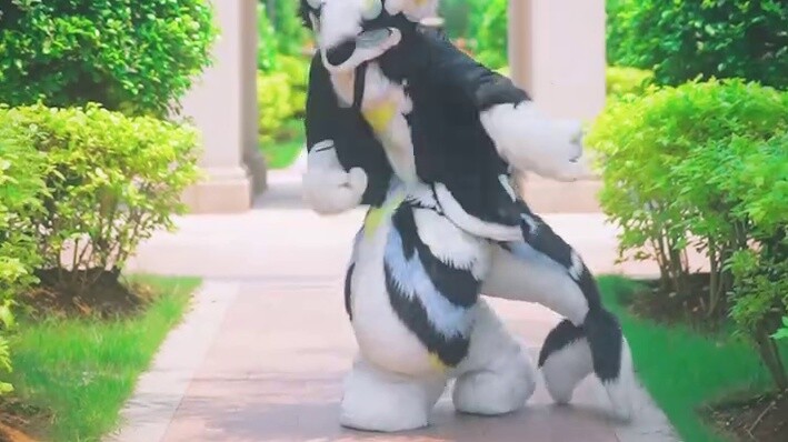 Miss, if you can't sleep, come dance with me~