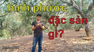 Cùng Lee Về Bình Phước | Cuộc Sống Bình Phước NTN ? |Anh Lee BTR