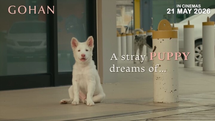 GOHAN (OFFICIAL TRAILER) IN CINEMAS 21 MAY 2026