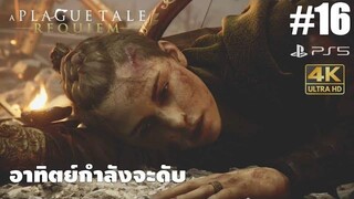 A Plague Tale Requiem16 อาทิตย์กำลังจะดับ