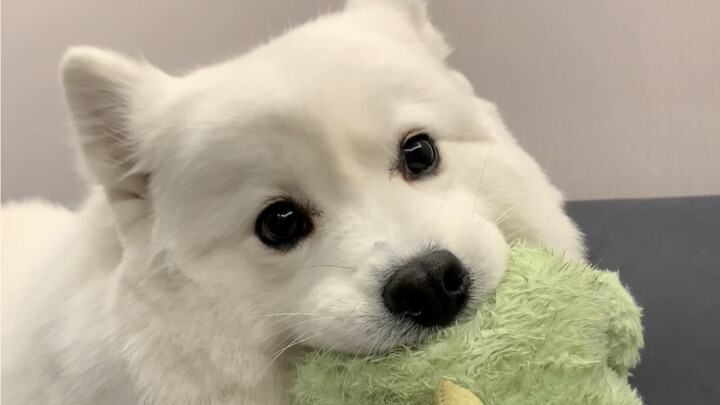 Cute-as-Hell Video Clips That Never Made the Cut All Those Years