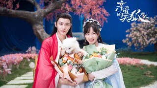 🍒Dear Mr Heavenly Fox 2023 | EP 7 ENG SUB