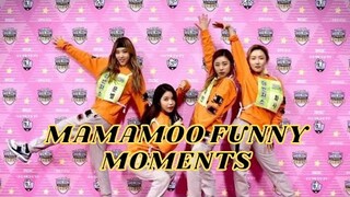 MAMAMOO FUNNY MOMENTS