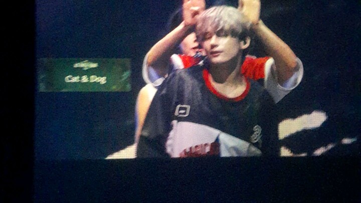 cat & dog txt concert 231203 a13