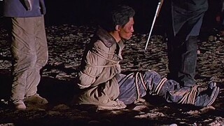每年我们进山 都要埋葬一万多头藏羚羊