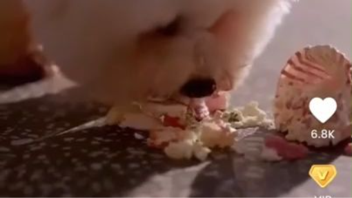 Ep1 ยามค่ำ