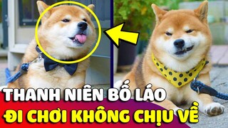 Thanh niên 'NGANG NGƯỢC' đi chơi 'KHÔNG CHỊU VỀ' khiến con Sen bất lực 😎 Gâu Đần