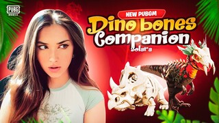 NEW BABY BONES COMPANION || HOLA BUDDY DINO SPIN || PUBG MOBILE