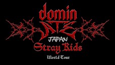 Stray Kids World Tour 'dominATE' In Japan - Shizuoka Stadium Ecopa (2025)