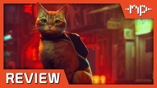 Stray Review - Noisy Pixel