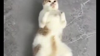 เราเซ็กซี่มั้ยนุด