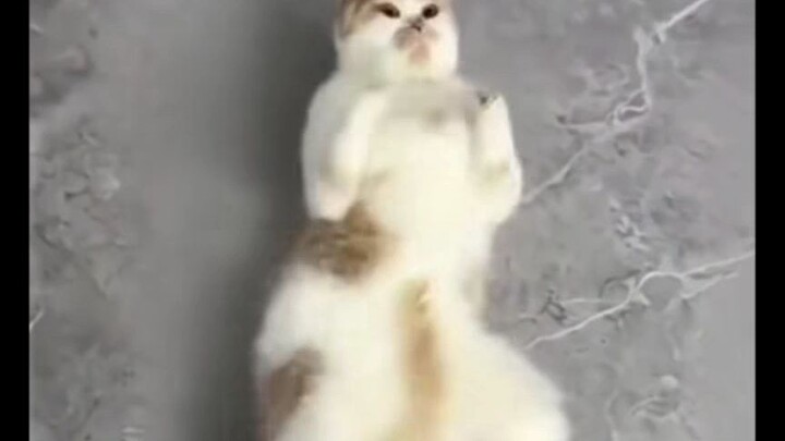 เราเซ็กซี่มั้ยนุด