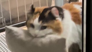 If this moment wasn't recorded, you'd regret it for the rest of your life.