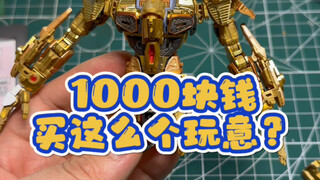 1000块钱买这么个玩意？胶佬：你不懂我？