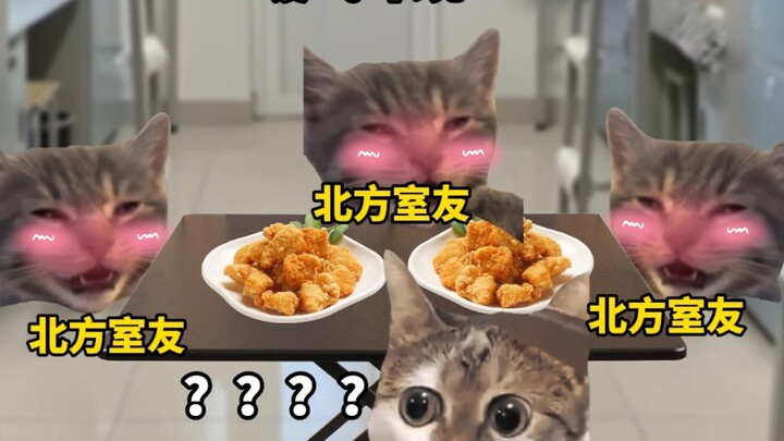 Một số khác biệt giữa miền Bắc và miền Nam