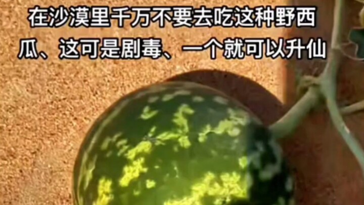 Không cho tôi sống, thì nó cũng đừng có sống nữa😡