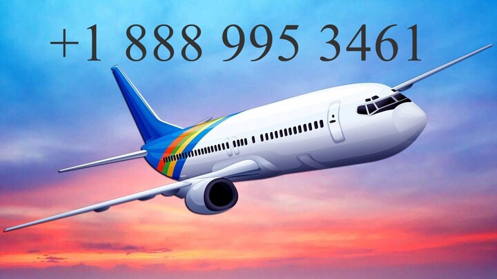 How do I talk to someone on Airbnb? {{_☎️☎ask~expert}}