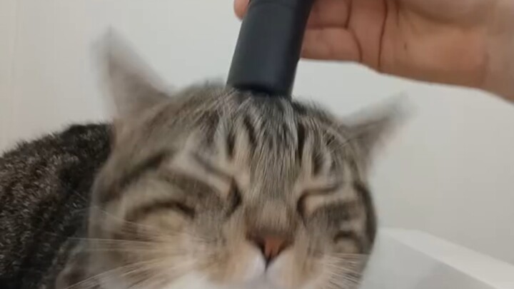 การดึงวิญญาณ