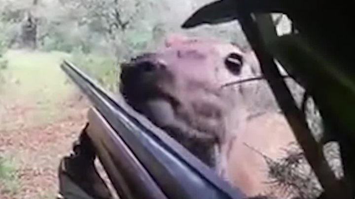 Who are you trying to scare with that broken stick?