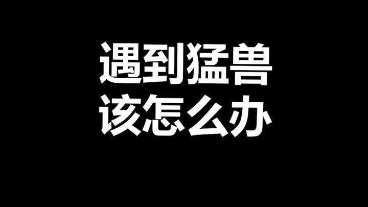 Pet trivia: What should you do when you encounter a wild animal? You've got to be confident!