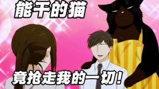 七月新番：为了独占万能的猫猫  女主决定不结婚了