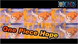 [One Piece]OP 20-Hope