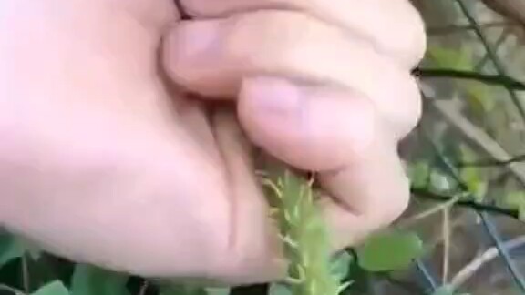 Even Iron Sand Palm wouldn’t dare play like this!