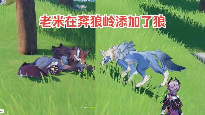 In case you didn't know, Old Mi secretly added a wolf to the big world.