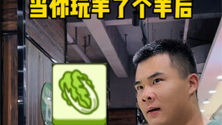When you play a sheep