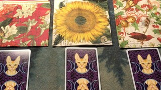 [Chestnut Fortune Telling] Does he/she like you? What does he/she really feel about you?