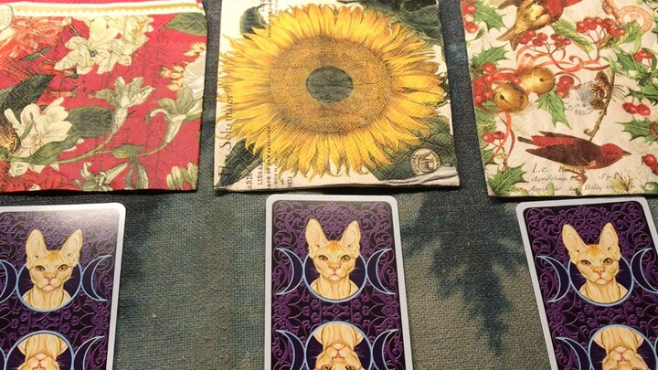 [Chestnut Fortune Telling] Does he/she like you? What does he/she really feel about you?