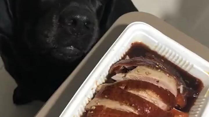 Be nice to your bro!