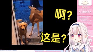 日本萝莉看《妈，我带朋友回家了》直接懵了 这把什么带回来了？