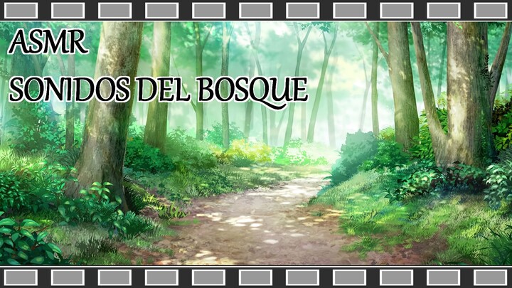 ASMR Sonidos del Bosque - Sounds of the Forest