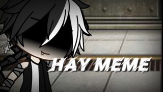 Hay Meme || Gacha Club || Backstory