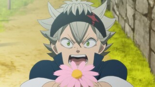 Asta's harem!