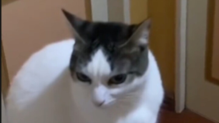 อะไรนะ