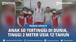 Sosok Anak SD Tertinggi di Dunia dari Kerinci Jambi, Usia 12 Tahun Tingginya 2 meter