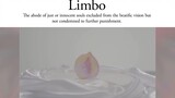 Central Academy of Fine Arts Graduation Project | Experimental Short Film "Limbo/Border"