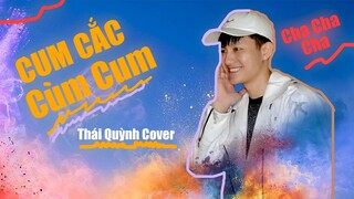 NHỊP ĐIỆU CHA CHA CHA | CUM CẮC CÙM CUM | NGUYỄN ĐÌNH VŨ | THÁI QUỲNH COVER  - HOT TREND TIKTOK 2021